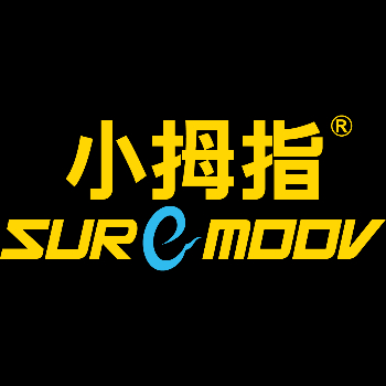 杭州小拇指汽车科技服务有限公司