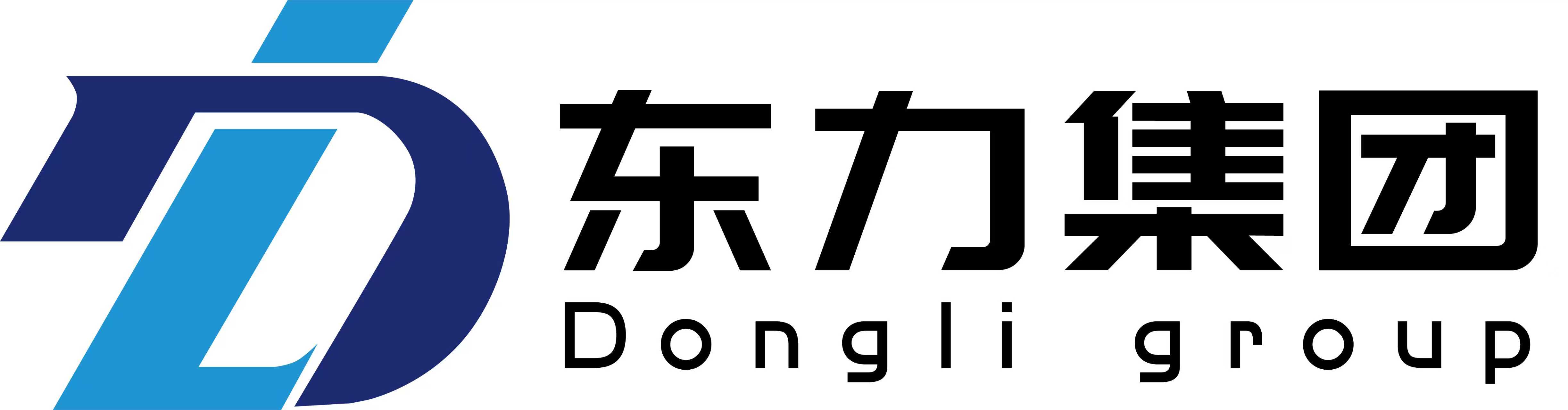 天津东力信息科技集团有限公司