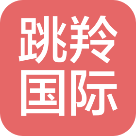 深圳市跳羚国际物流有限公司