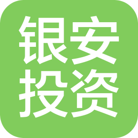 陕西银安投资有限公司