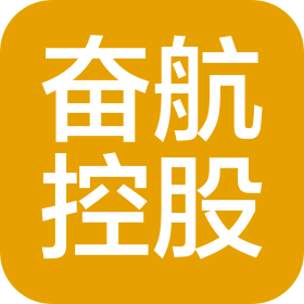 海南奋航控股有限公司