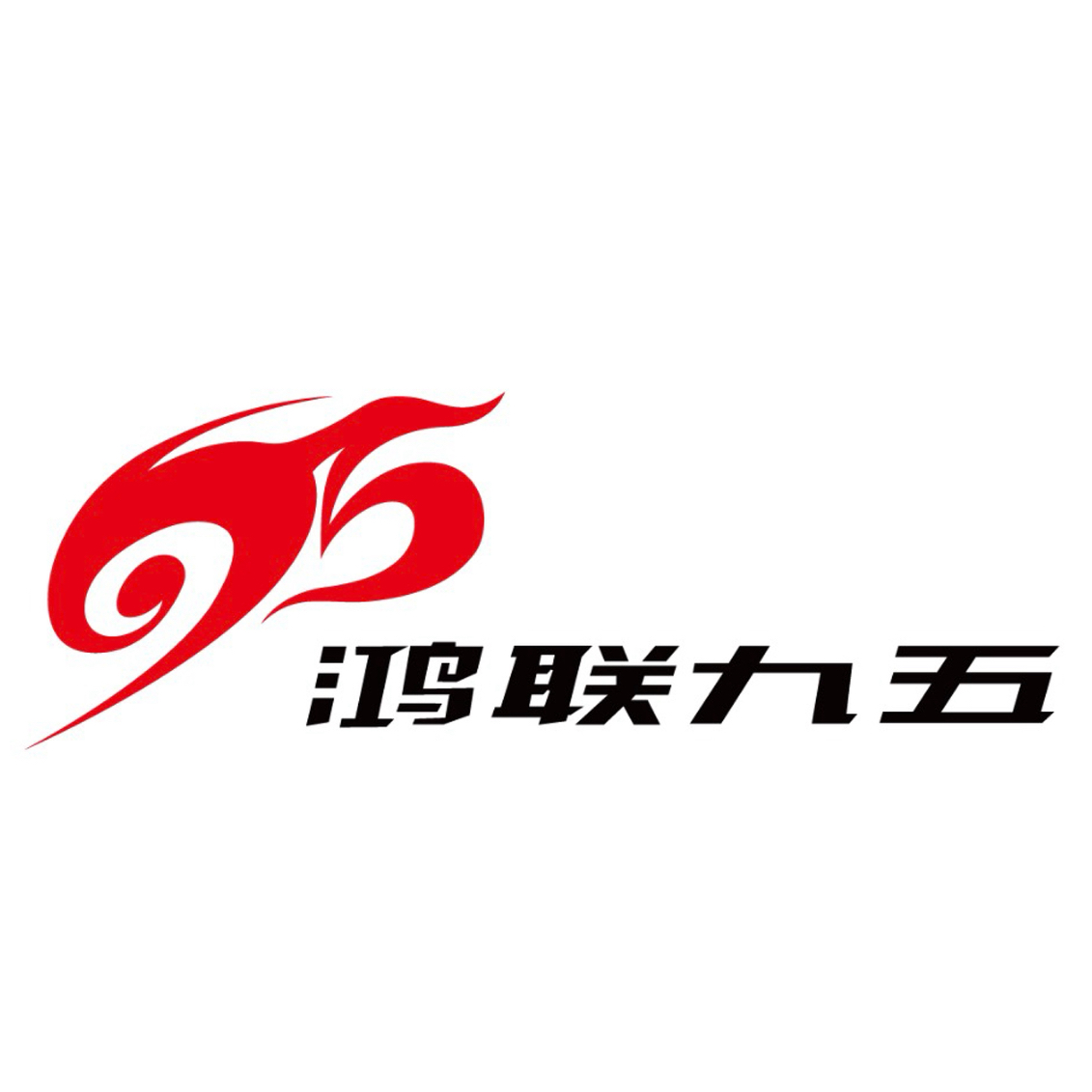 北京鸿联九五信息产业有限公司西安分公司