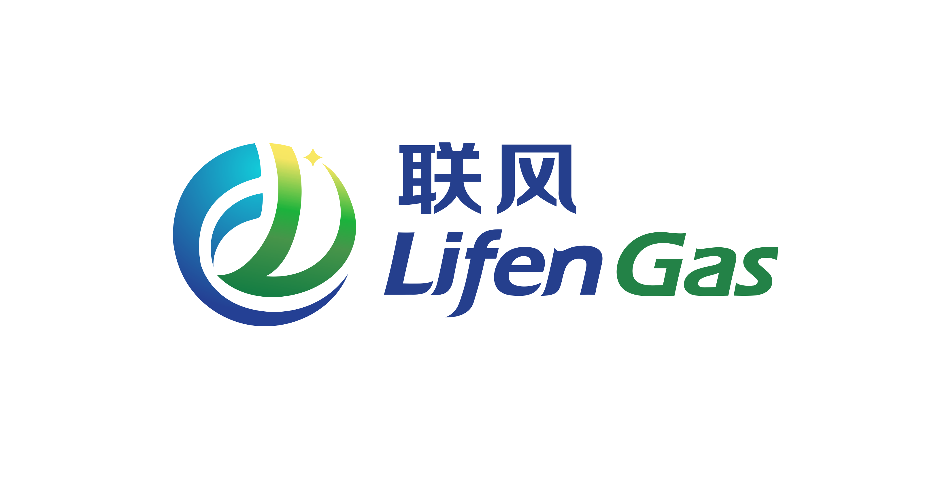 上海联风气体股份有限公司
