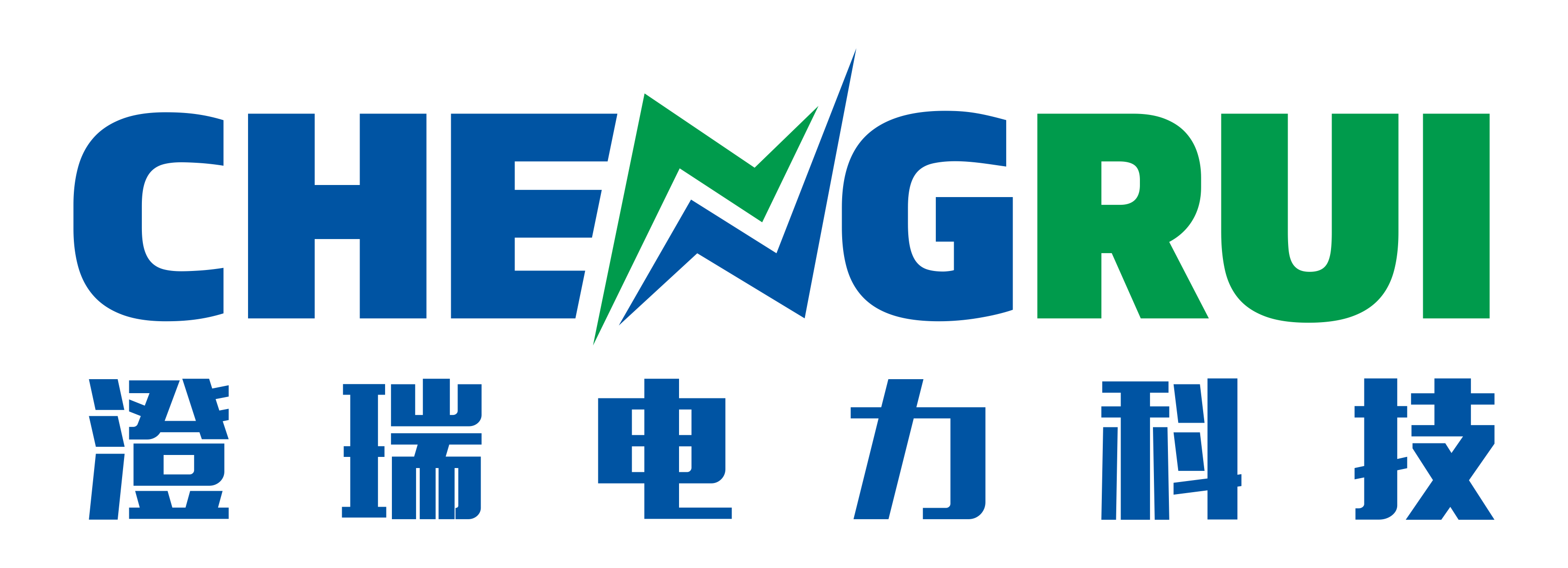 澄瑞电力科技(上海)股份公司