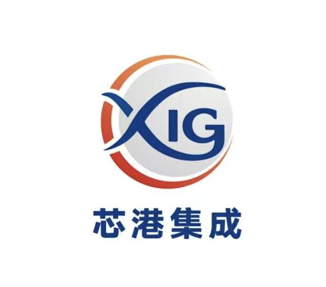上海东方芯港集成电路有限公司