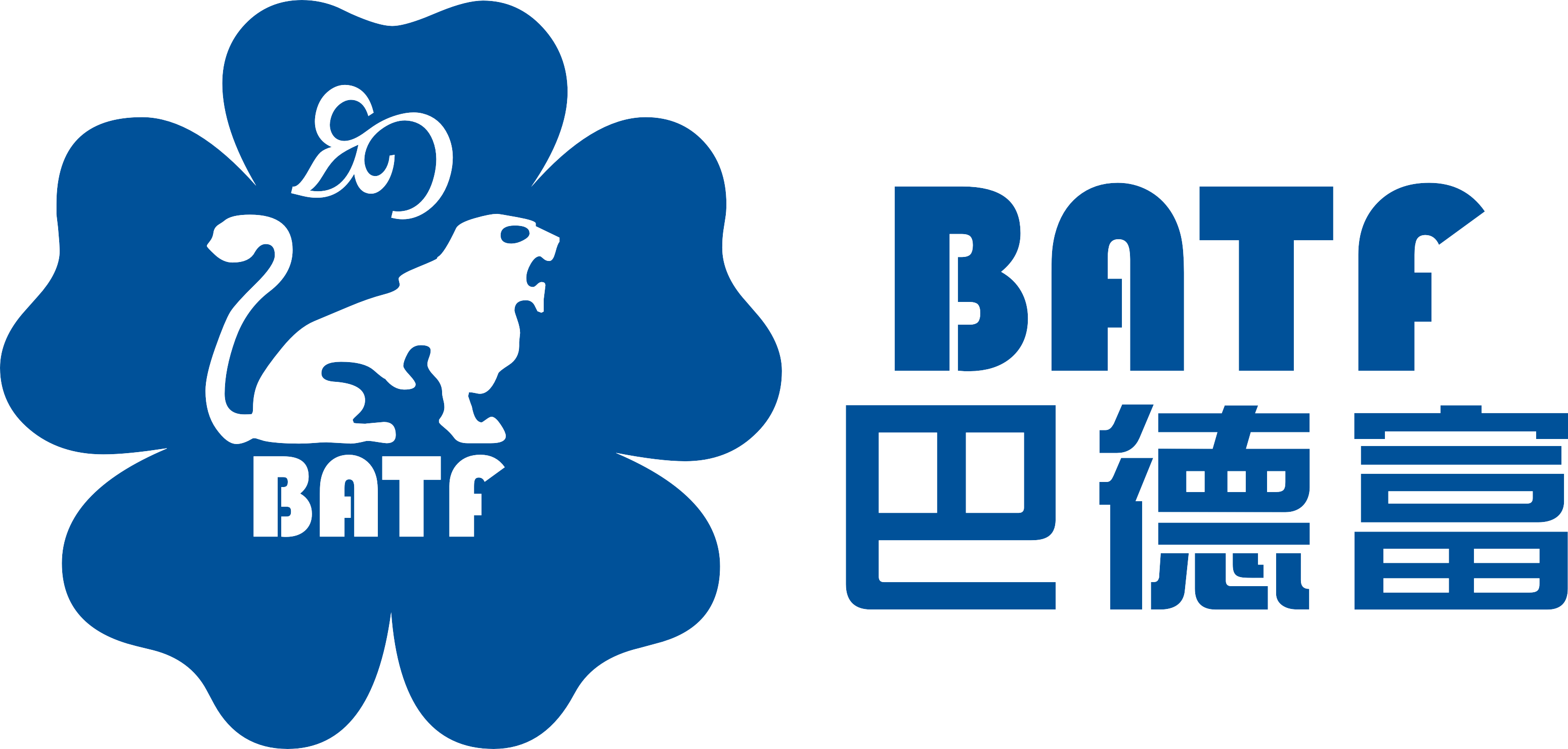 巴德富集团有限公司