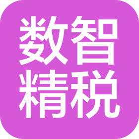 数智精税(上海)税务咨询有限公司