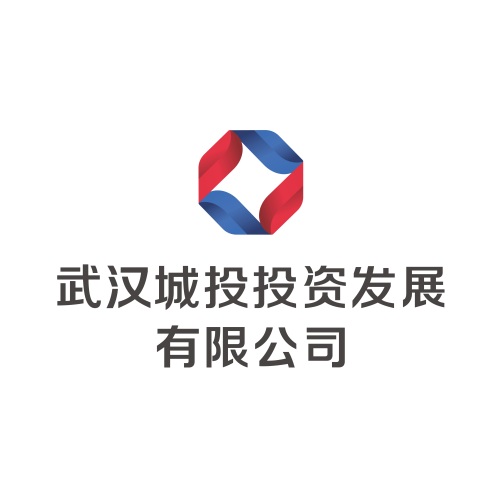 武汉城投投资发展有限公司