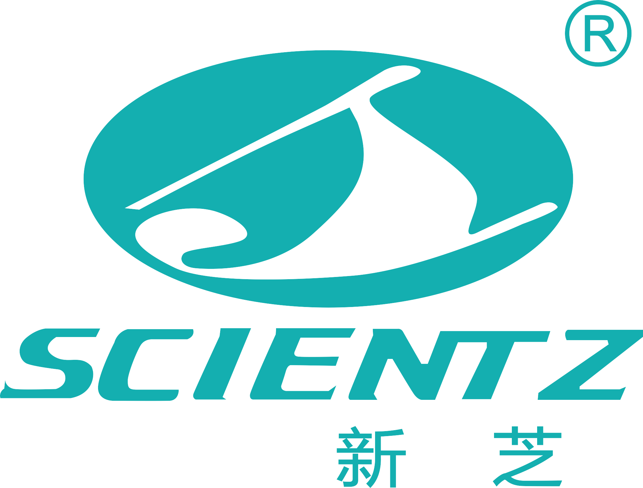 新芝生物