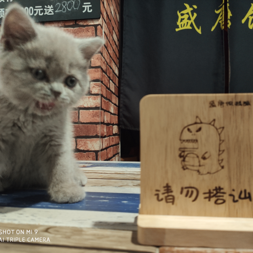 职位发布者头像