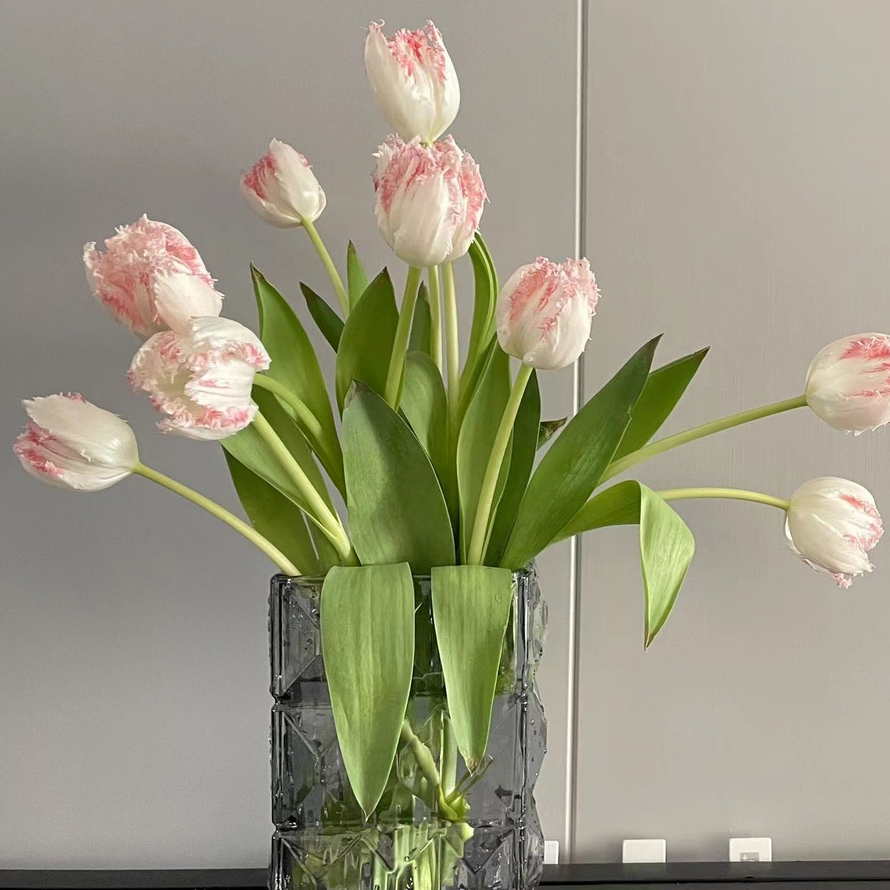 职位发布者头像