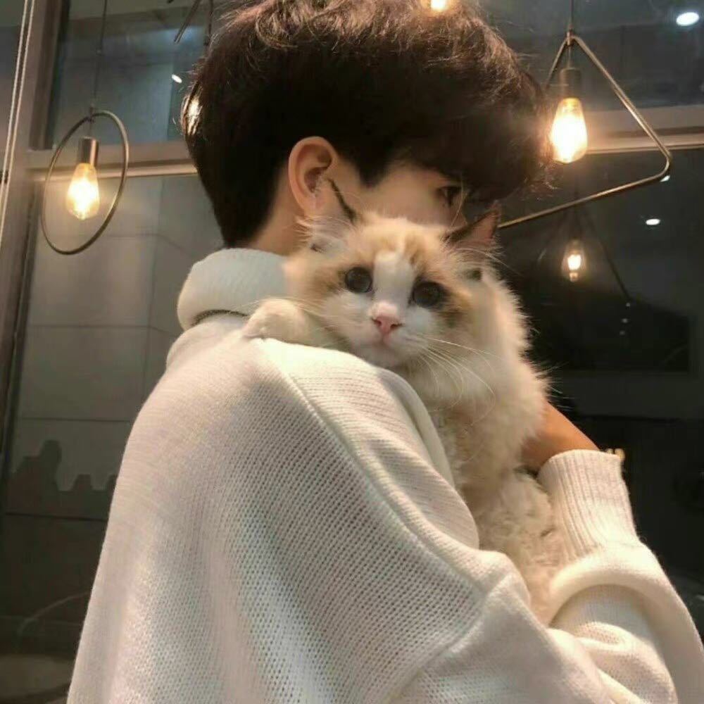 职位发布者头像