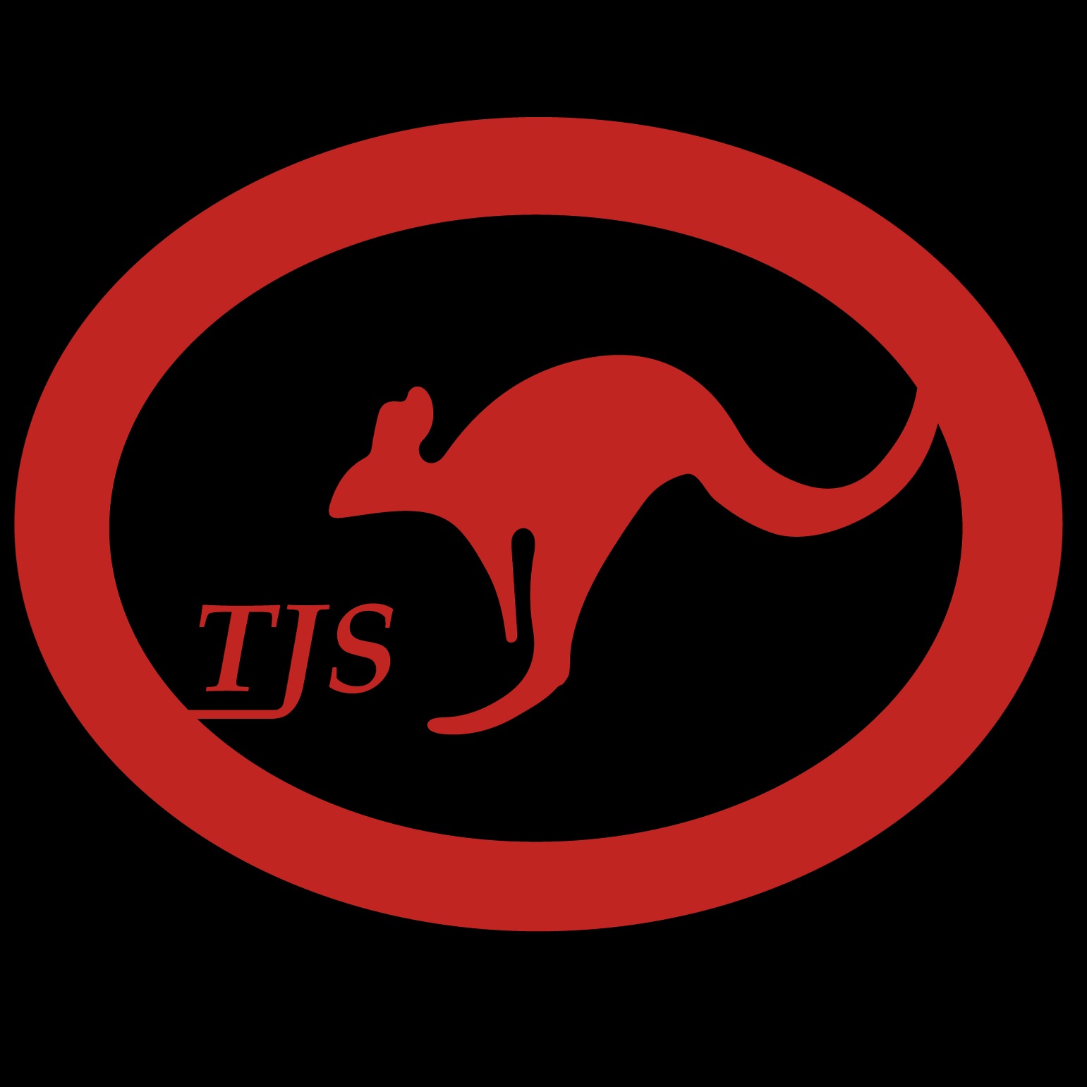 沈阳特急送快运有限公司