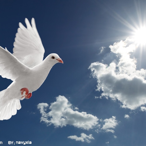 服务器运维工程师