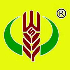 hr頭像