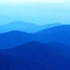 hr頭像