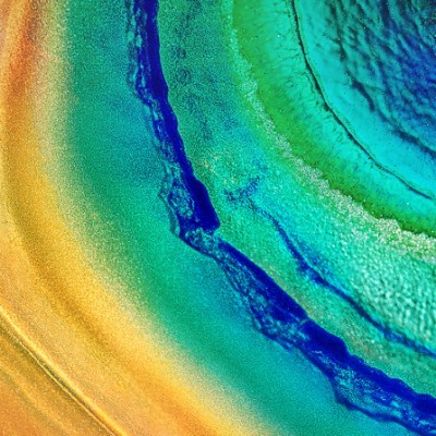 职位发布者头像