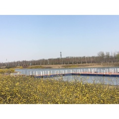hr頭像