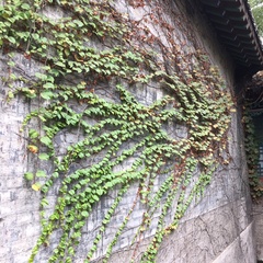 hr頭像