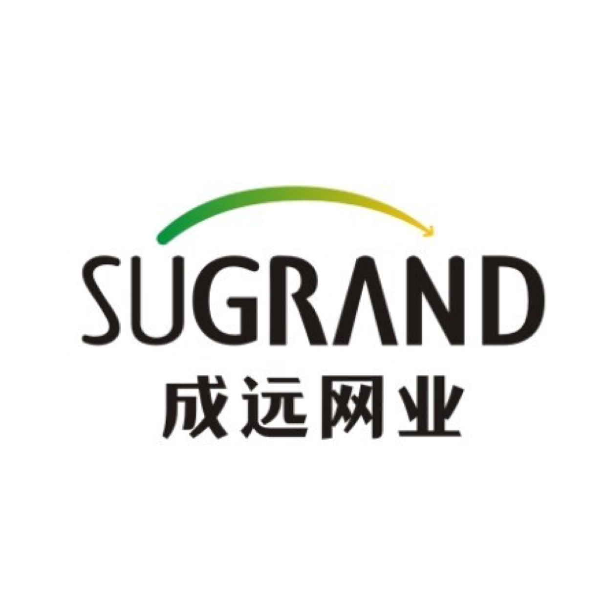 职位发布者头像