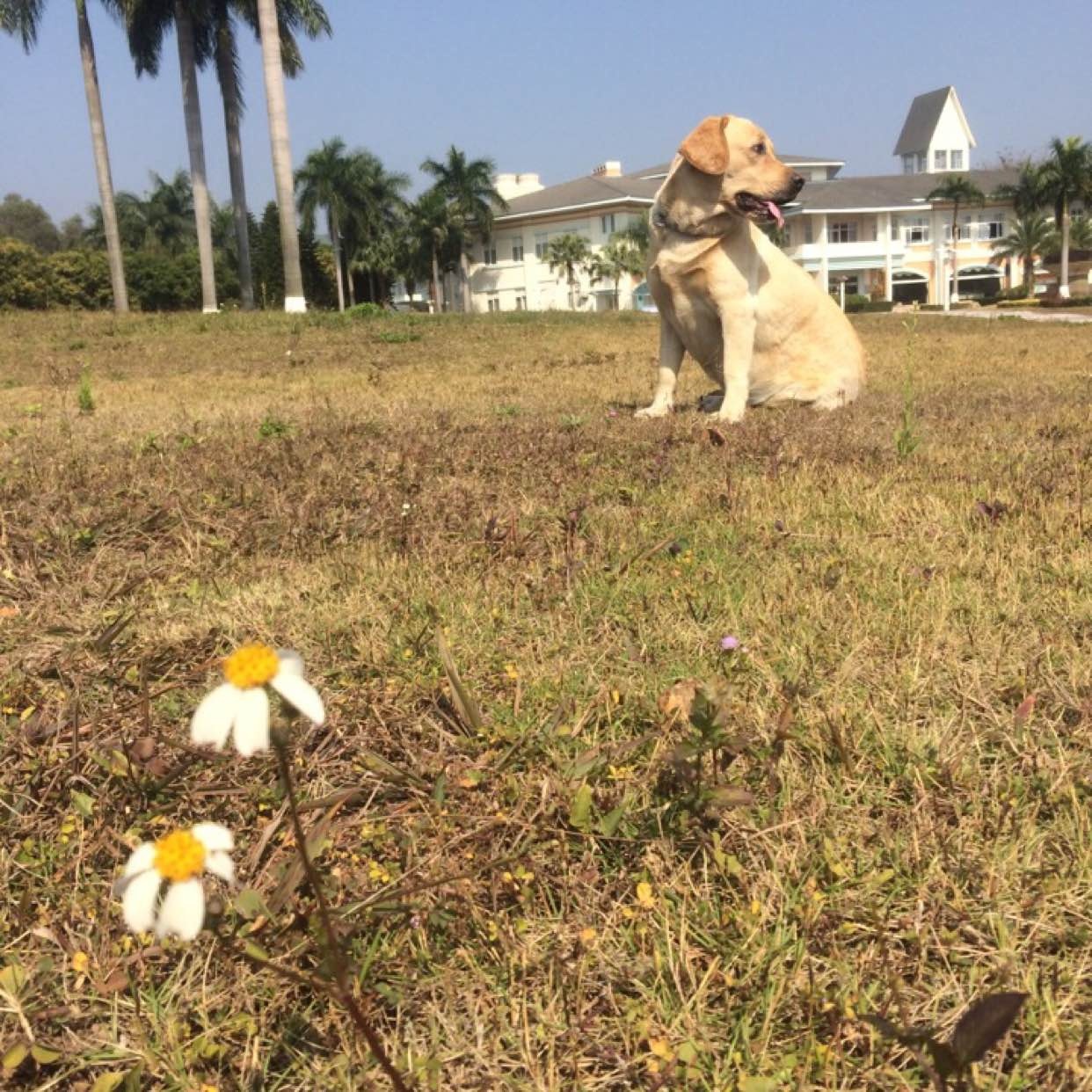 职位发布者头像