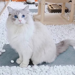 hr頭像
