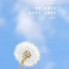 hr頭像