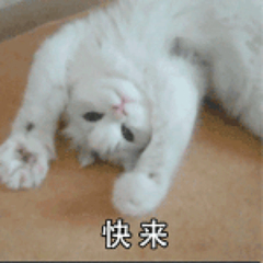 hr頭像