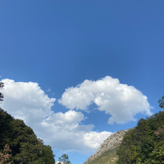 hr頭像