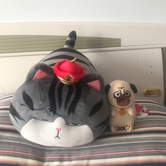 hr頭像