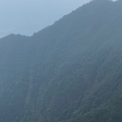 hr頭像