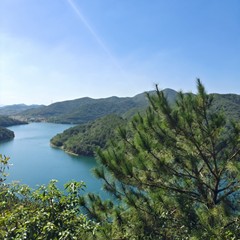 hr頭像