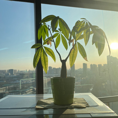 hr頭像