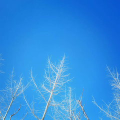 hr頭像