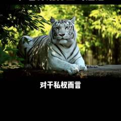 hr頭像