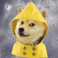 hr頭像