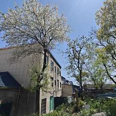 hr頭像