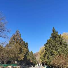 hr頭像