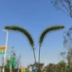hr頭像