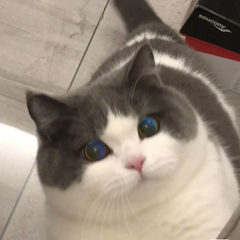 hr頭像