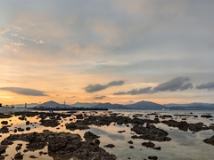 hr頭像