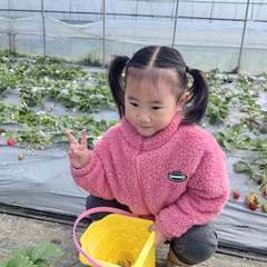 hr頭像
