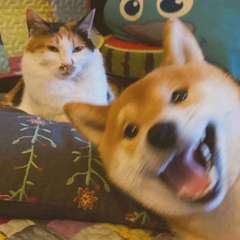 hr頭像