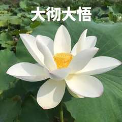 hr頭像