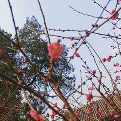 hr頭像
