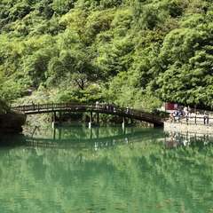 hr頭像