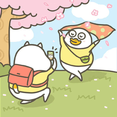 hr頭像