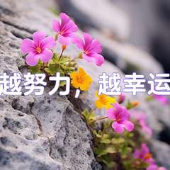 hr頭像