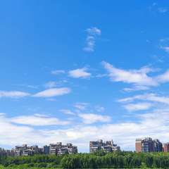 hr頭像