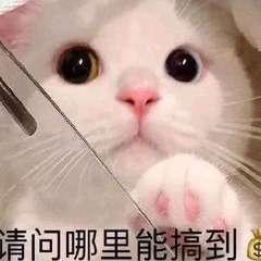 hr頭像